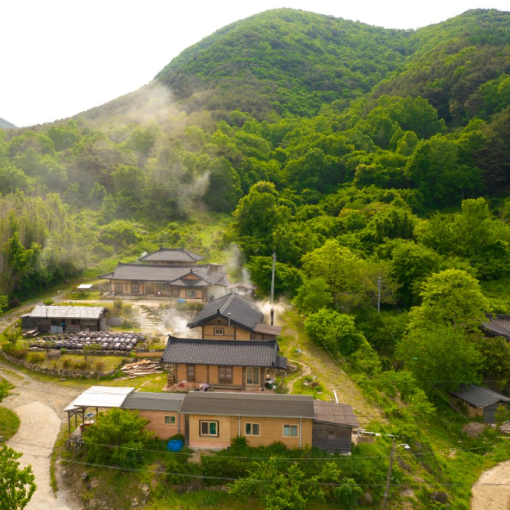 주간전경