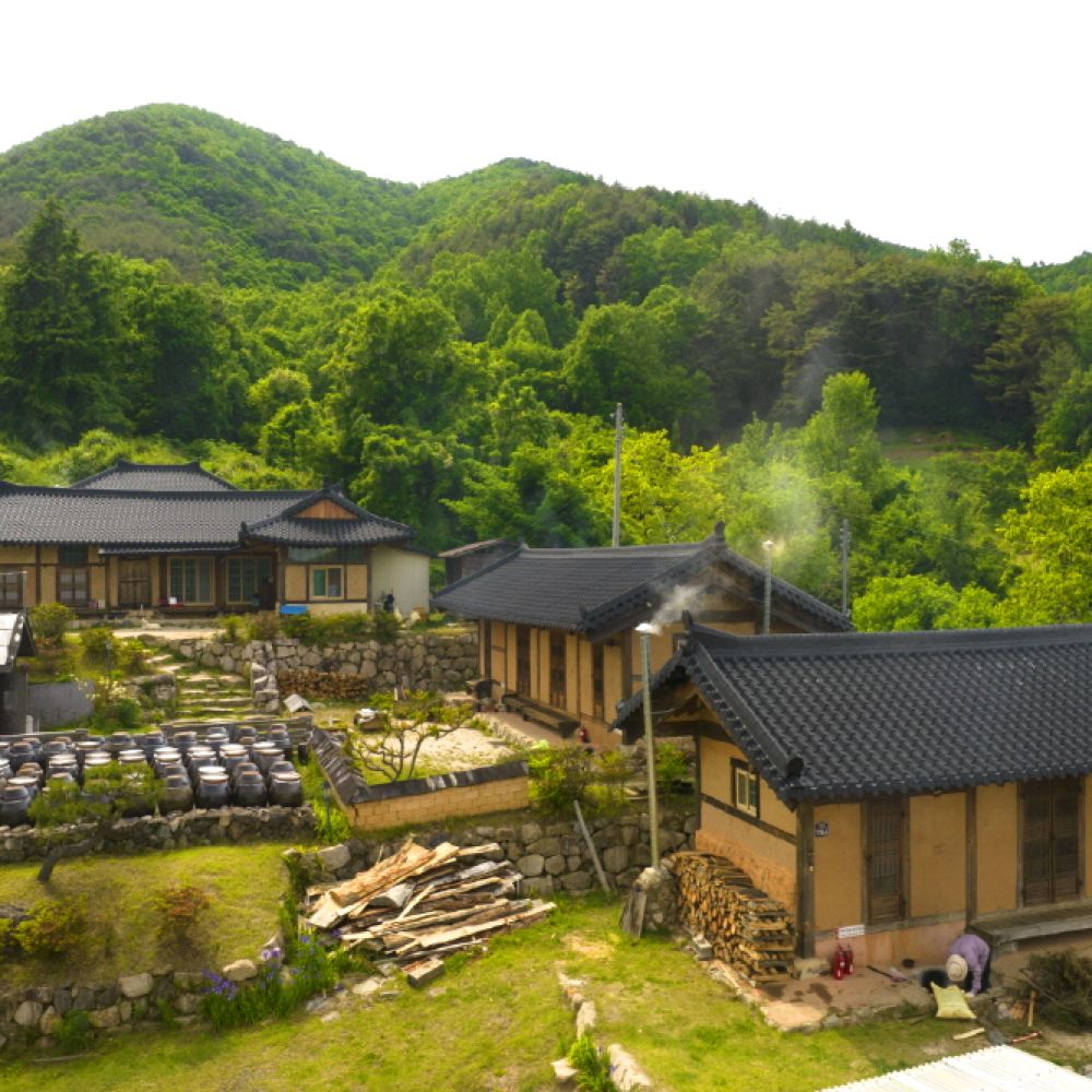 주변전경